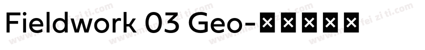 Fieldwork 03 Geo字体转换